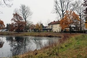 »Sparkassenweiher« in Alterlangen