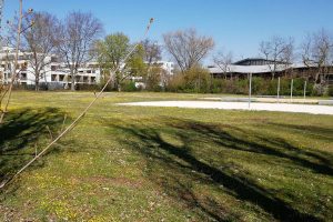 Liegewiese nördlich vom Röthelheimbad